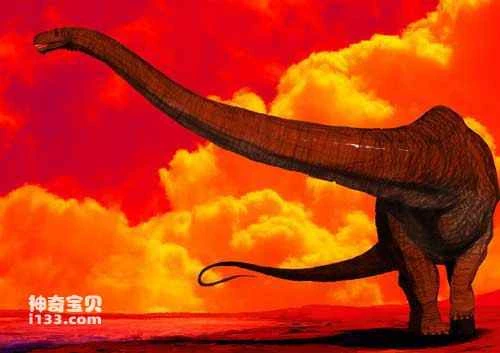 Fossil sites and physical characteristics of Mamenchisaurus