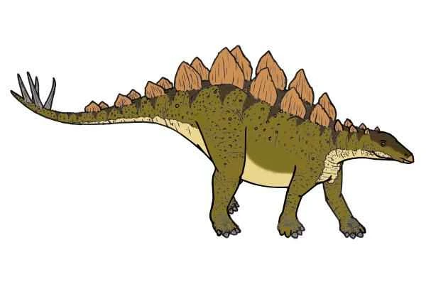 Dinosaurios encontrados en España - Stegosaurus sp.