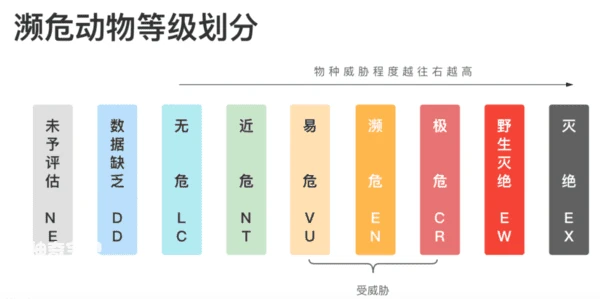 The sika deer ranks last among the world's ten rarest deer.