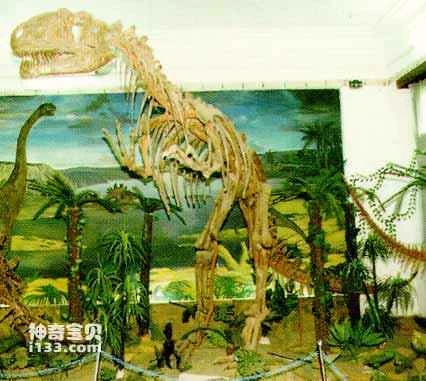 A new dinosaur fossil site has been discovered in Lufeng, Yunnan.