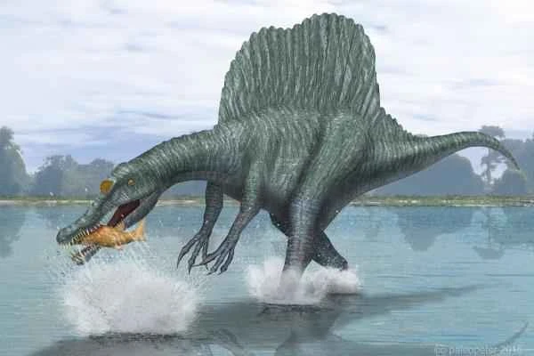 Spiny animals – Spinosaurus aegyptiacus