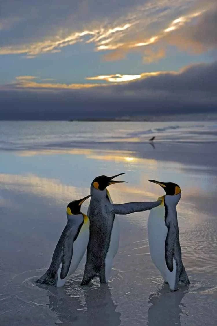 wmremove-transformed (2).jpg