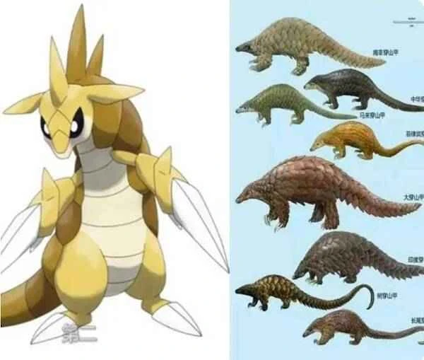 The Pokémon from the anime are waiting for you to catch them in real life.