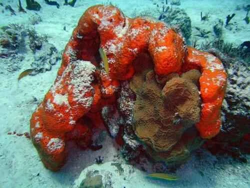 a41bb2e622b1d8c7d304262e863b3824 (1).jpeg