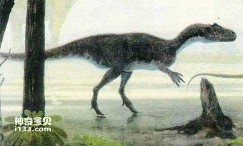 The evolution of dinosaurs is related to continental drift.
