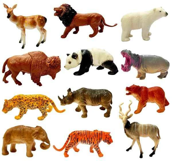 What causes an increase in the number of animal species? Understanding the reasons for animal population growth.