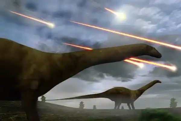 Why did dinosaurs become extinct?