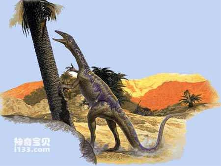 Physical characteristics and lifestyle of Coelophysis