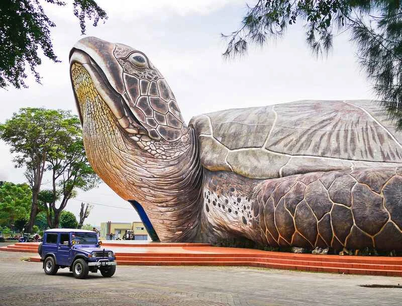 The world's ten largest turtles