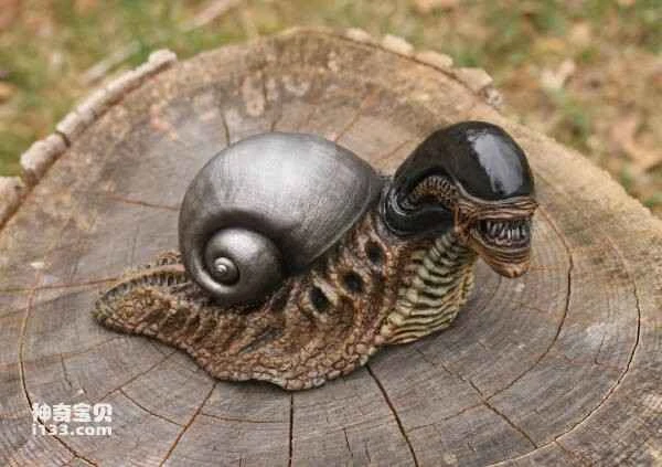 The world's ten most terrifying snails