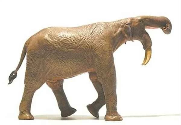 Prehistoric "strange" phenomenon: a prehistoric relative of extant elephants.