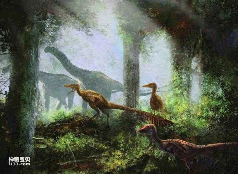 Fossil sites and physical characteristics of Sinornithosaurus