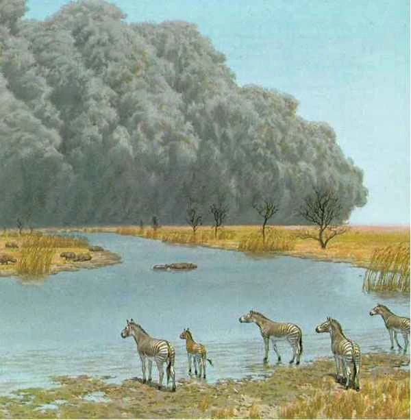 The historical evolution and development of the horse