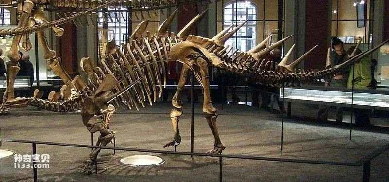 How did dinosaurs become extinct? (6 theories about dinosaur extinction)