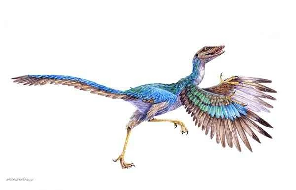 Bird-like dinosaurs