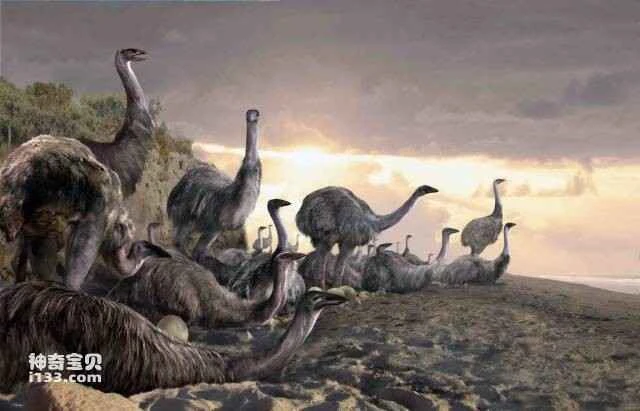 The world's ten most extinct bird species