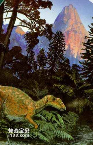 Gymnosperms are plants with naked seeds.