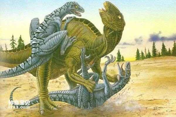 Fossil sites and physical characteristics of Deinonychus