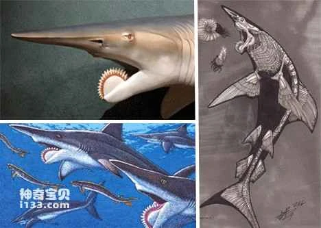 List of extinct animals (A comprehensive overview of extinct animals)