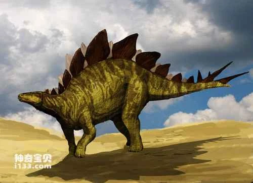 Fossil sites and physical characteristics of Stegosaurus