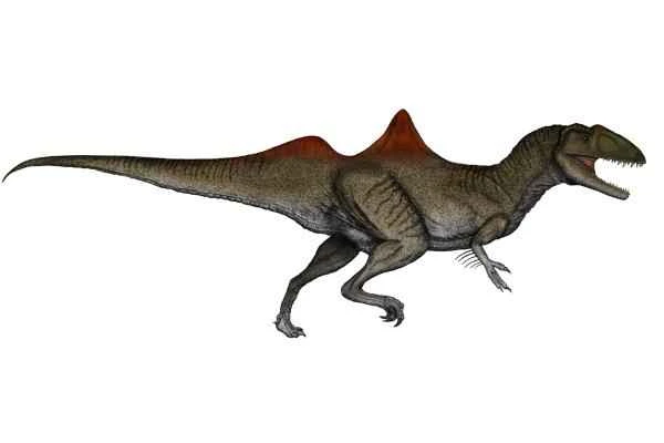 Dinosaurios encontrados en España - Concavenator corcovatus