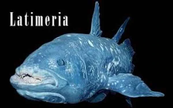 Animals thought to be extinct but still alive: The Lazarus Species Miracle