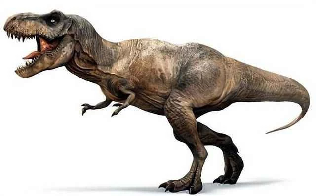 Detailed information and habits of Tyrannosaurus Rex