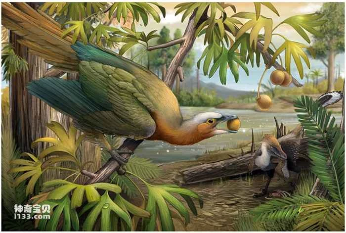 Why do birds survive extinction events?