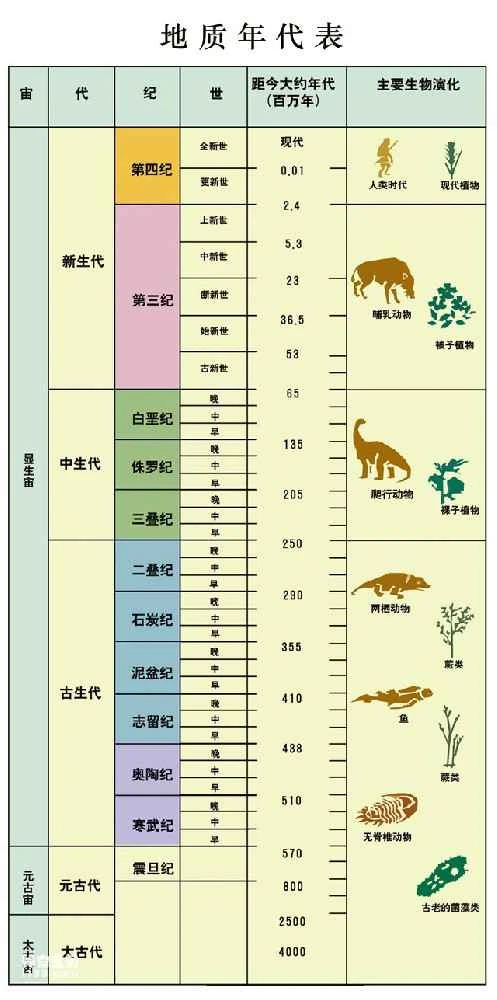 Complete geological timeline (major biological evolution)