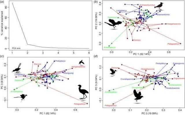 Chinese scientists discover new evidence of feather evolution.