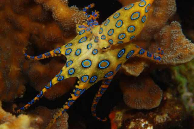 5 上午8.08.20(1).jpeg