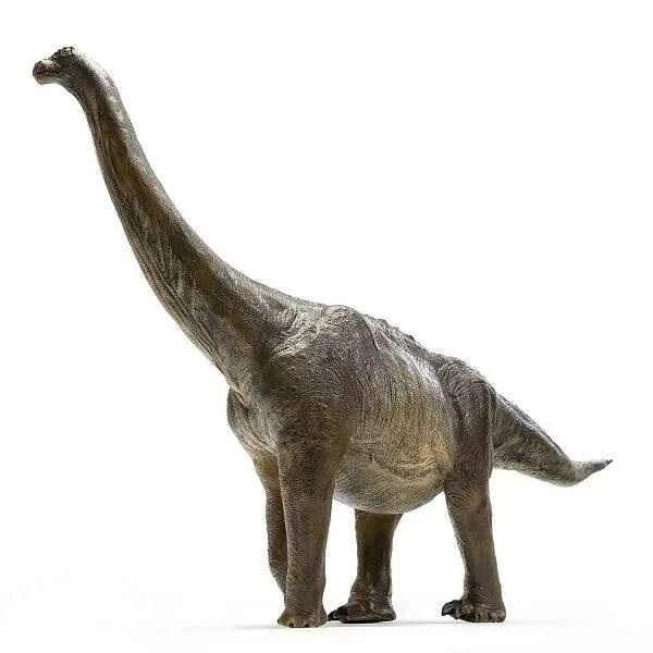 Dinosaur fossils discovered in Henan Province: Ranking of the dinosaurs that lived in Henan Province
