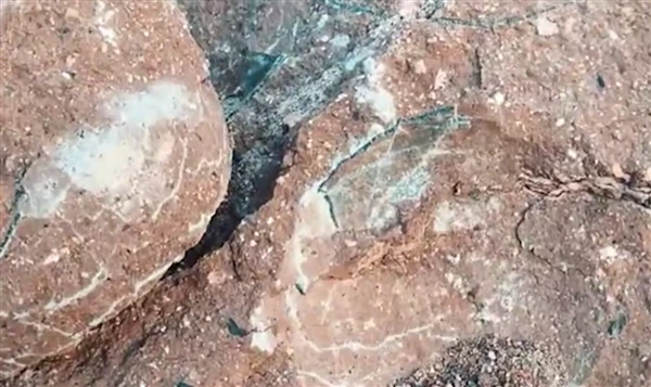 The curator of Heyuan Museum unexpectedly discovered dinosaur egg fossils while taking a walk, truly living up to its reputation as the hometown of dinosaurs.