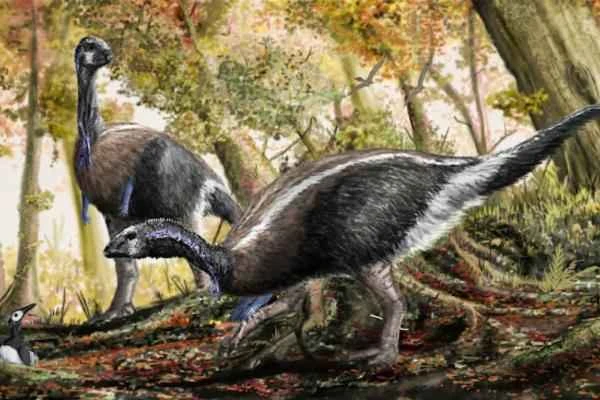 Dinosaurios encontrados en España - Valdosaurus canaliculatus