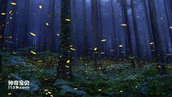 The animals in the photo seem to be asking: Who is truly endangered?