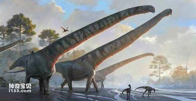 China discovers dinosaur with the longest neck ever recorded.