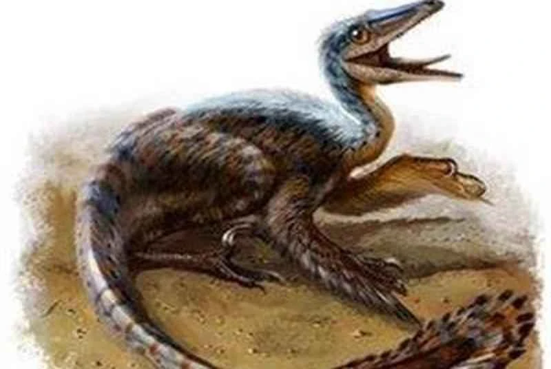 You probably don't recognize these 9 dinosaurs; recognizing even one is impressive.