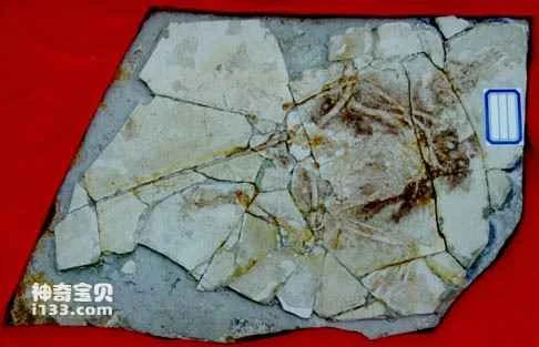 Historical dinosaur research hoaxes (the Piltover incident)