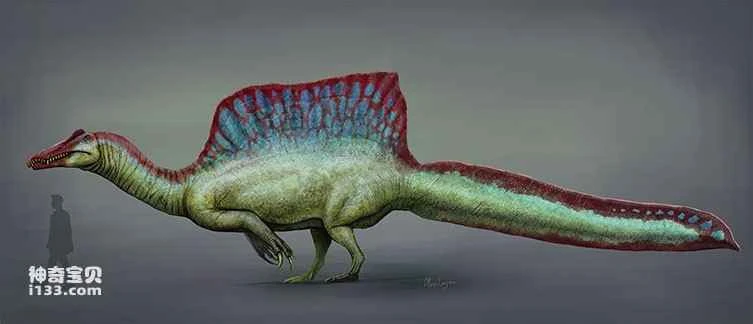 What is the largest carnivorous dinosaur?