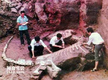 Three theories on the formation of the dinosaur tomb in Dashanpu, Zigong, Sichuan