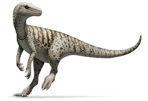 Dinosaurios in Argentina - Herrerasaurus ischigualastensis