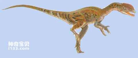 Physical characteristics and habits of Rili Ensaurus (natural enemies of Plateosaurus)