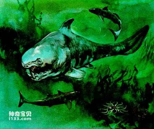 The evolution of the most primitive placoderms