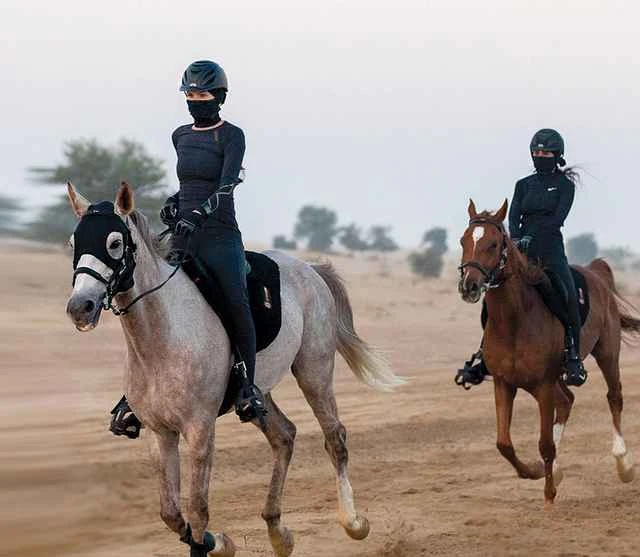 Safety Precautions for Equestrian Sports: Everything You Need to Know