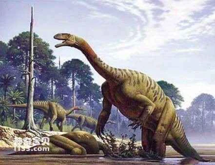 What was the first dinosaur to be named in my country?