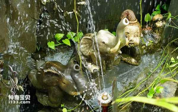 Cultural Factors in Asian Elephant Conservation: Laos