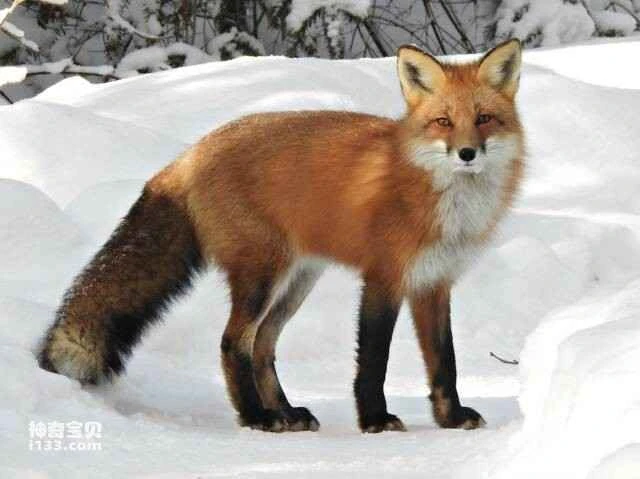 屏幕快照 2023-06-05 下午8.14.21.jpg