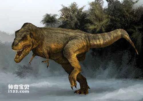 Fossil sites and physical characteristics of Tyrannosaurus Rex