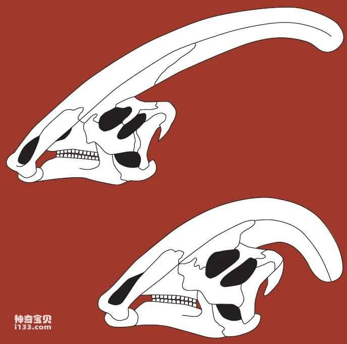 The life cycle of dinosaurs: from extinction to catastrophe