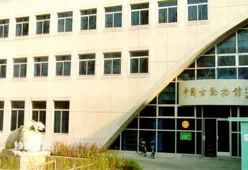 Where is the Paleontological Museum of China located?
